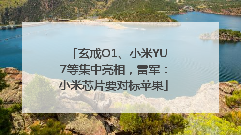 玄戒O1、小米YU7等集中亮相，雷军：小米芯片要对标苹果