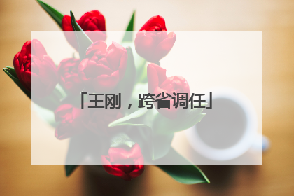 王刚，跨省调任