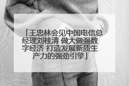 王忠林会见中国电信总经理刘桂清 做大做强数字经济 打造发展新质生产力的强劲引擎