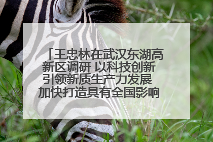 王忠林在武汉东湖高新区调研 以科技创新引领新质生产力发展 加快打造具有全国影响力的科技创新高地