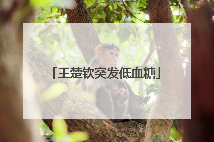 王楚钦突发低血糖