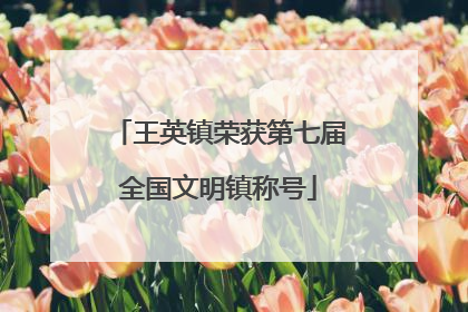 王英镇荣获第七届全国文明镇称号