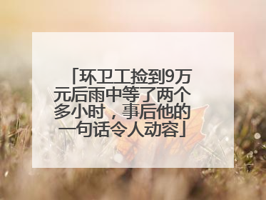 环卫工捡到9万元后雨中等了两个多小时，事后他的一句话令人动容