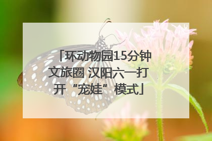 环动物园15分钟文旅圈 汉阳六一打开“宠娃”模式