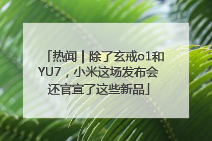 热闻｜除了玄戒o1和YU7，小米这场发布会还官宣了这些新品