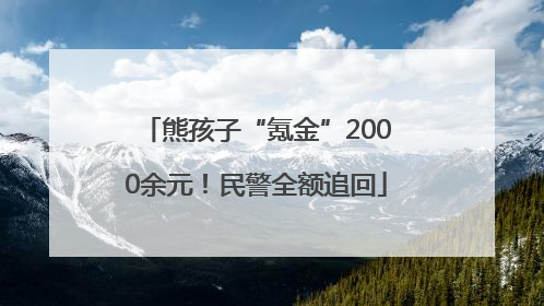 熊孩子“氪金”2000余元！民警全额追回
