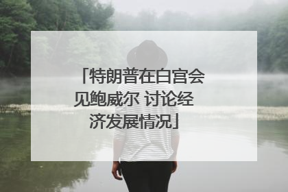 特朗普在白宫会见鲍威尔 讨论经济发展情况