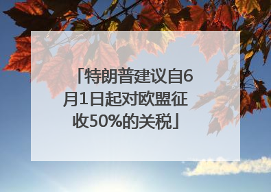 特朗普建议自6月1日起对欧盟征收50%的关税
