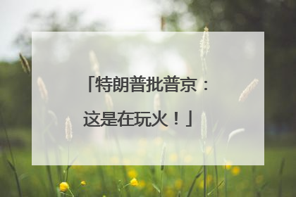 特朗普批普京：这是在玩火！