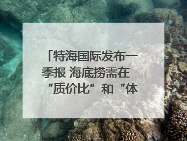 特海国际发布一季报 海底捞需在“质价比”和“体验感”中找到平衡｜新经济观察