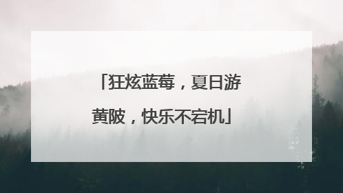 狂炫蓝莓，夏日游黄陂，快乐不宕机
