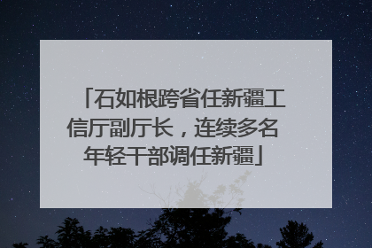 石如根跨省任新疆工信厅副厅长，连续多名年轻干部调任新疆