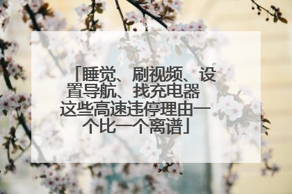 睡觉、刷视频、设置导航、找充电器 这些高速违停理由一个比一个离谱
