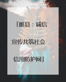 睢县：诚信宣传共筑社会信用防护网