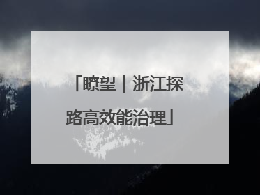 瞭望｜浙江探路高效能治理
