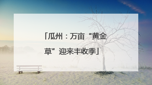 瓜州：万亩“黄金草”迎来丰收季