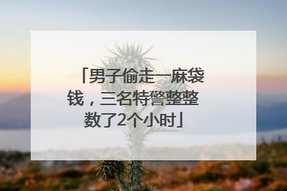 男子偷走一麻袋钱，三名特警整整数了2个小时