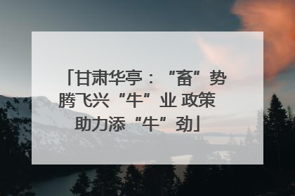 甘肃华亭：“畜”势腾飞兴“牛”业 政策助力添“牛”劲