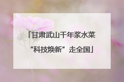 甘肃武山千年浆水菜“科技焕新”走全国