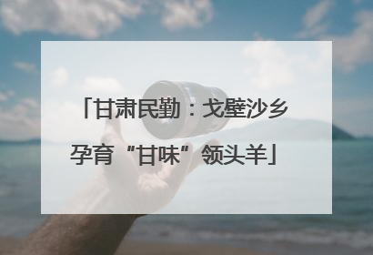 甘肃民勤：戈壁沙乡孕育“甘味”领头羊
