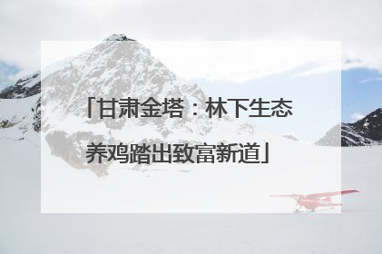 甘肃金塔：林下生态养鸡踏出致富新道