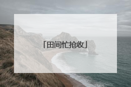 田间忙抢收