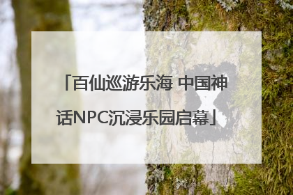 百仙巡游乐海 中国神话NPC沉浸乐园启幕