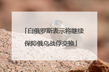 白俄罗斯表示将继续保障俄乌战俘交换