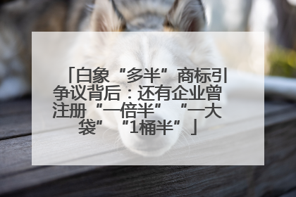 白象“多半”商标引争议背后：还有企业曾注册“一倍半”“一大袋”“1桶半”