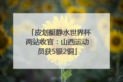 皮划艇静水世界杯两站收官：山西运动员获5银2铜