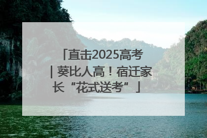 直击2025高考｜葵比人高！宿迁家长“花式送考”