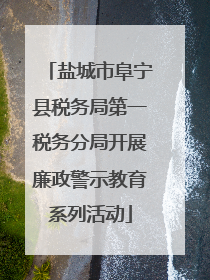 盐城市阜宁县税务局第一税务分局开展廉政警示教育系列活动