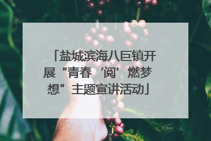 盐城滨海八巨镇开展“青春‘阅’燃梦想”主题宣讲活动