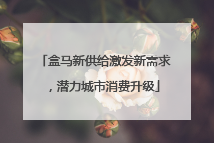 盒马新供给激发新需求，潜力城市消费升级