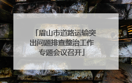 眉山市道路运输突出问题排查整治工作专题会议召开