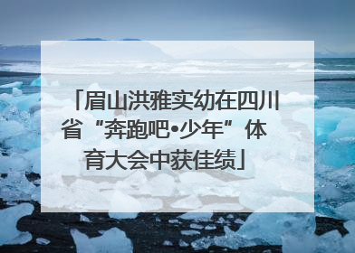 眉山洪雅实幼在四川省“奔跑吧•少年”体育大会中获佳绩