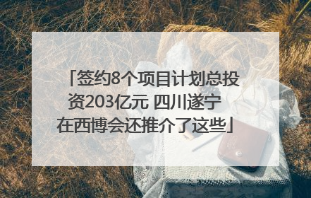 签约8个项目计划总投资203亿元 四川遂宁在西博会还推介了这些