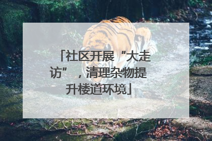社区开展“大走访”，清理杂物提升楼道环境