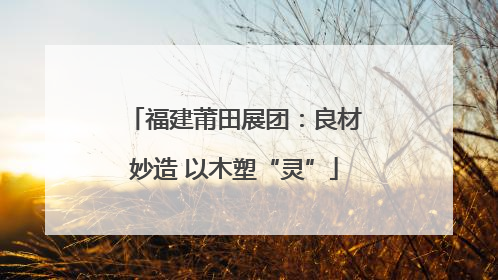 福建莆田展团：良材妙造 以木塑“灵”