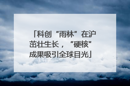 科创“雨林”在沪茁壮生长，“硬核”成果吸引全球目光