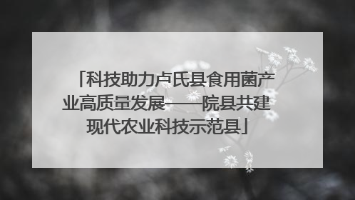 科技助力卢氏县食用菌产业高质量发展——院县共建现代农业科技示范县