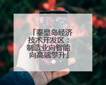 秦皇岛经济技术开发区：制造业向智能向高端攀升