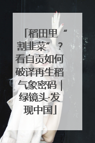 稻田里“割韭菜”？看自贡如何破译再生稻气象密码｜绿镜头·发现中国