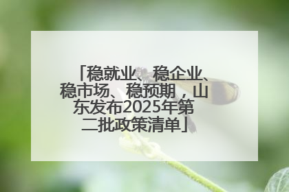 稳就业、稳企业、稳市场、稳预期，山东发布2025年第二批政策清单