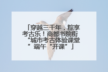 穿越三千年，粽享考古乐！商都书院街“城市考古体验课堂”端午“开课”