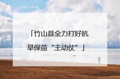 竹山县全力打好抗旱保苗“主动仗”