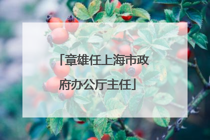 章雄任上海市政府办公厅主任