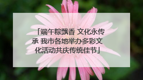 端午粽飘香 文化永传承 我市各地举办多彩文化活动共庆传统佳节