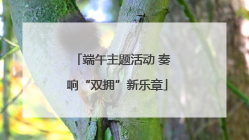 端午主题活动 奏响“双拥”新乐章