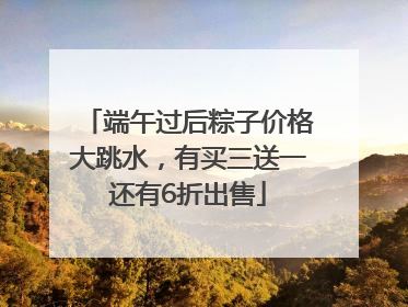 端午过后粽子价格大跳水，有买三送一还有6折出售